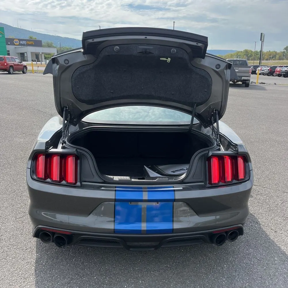 2017 Ford Mustang Shelby GT350