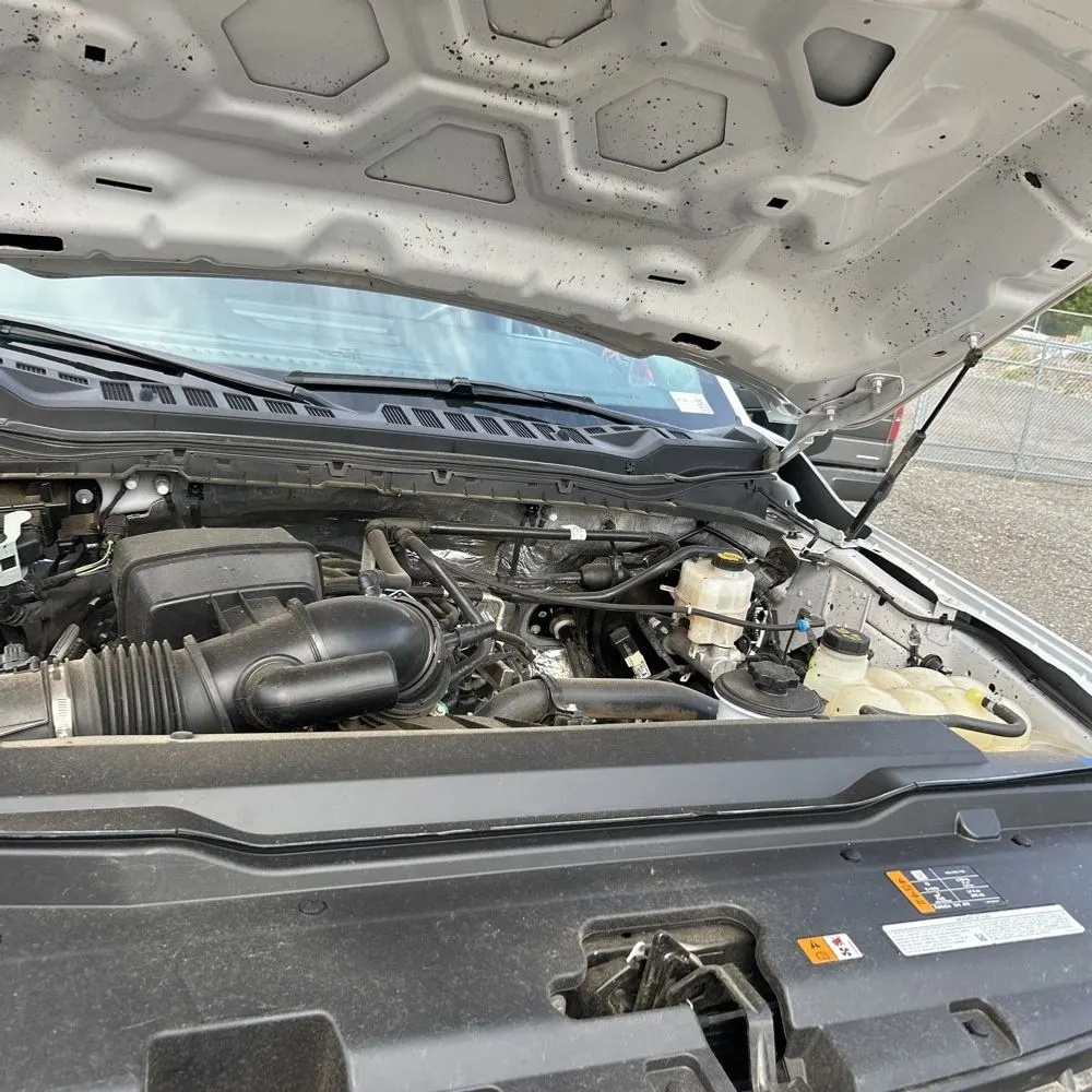2023 Ford F250 S/D XLT
