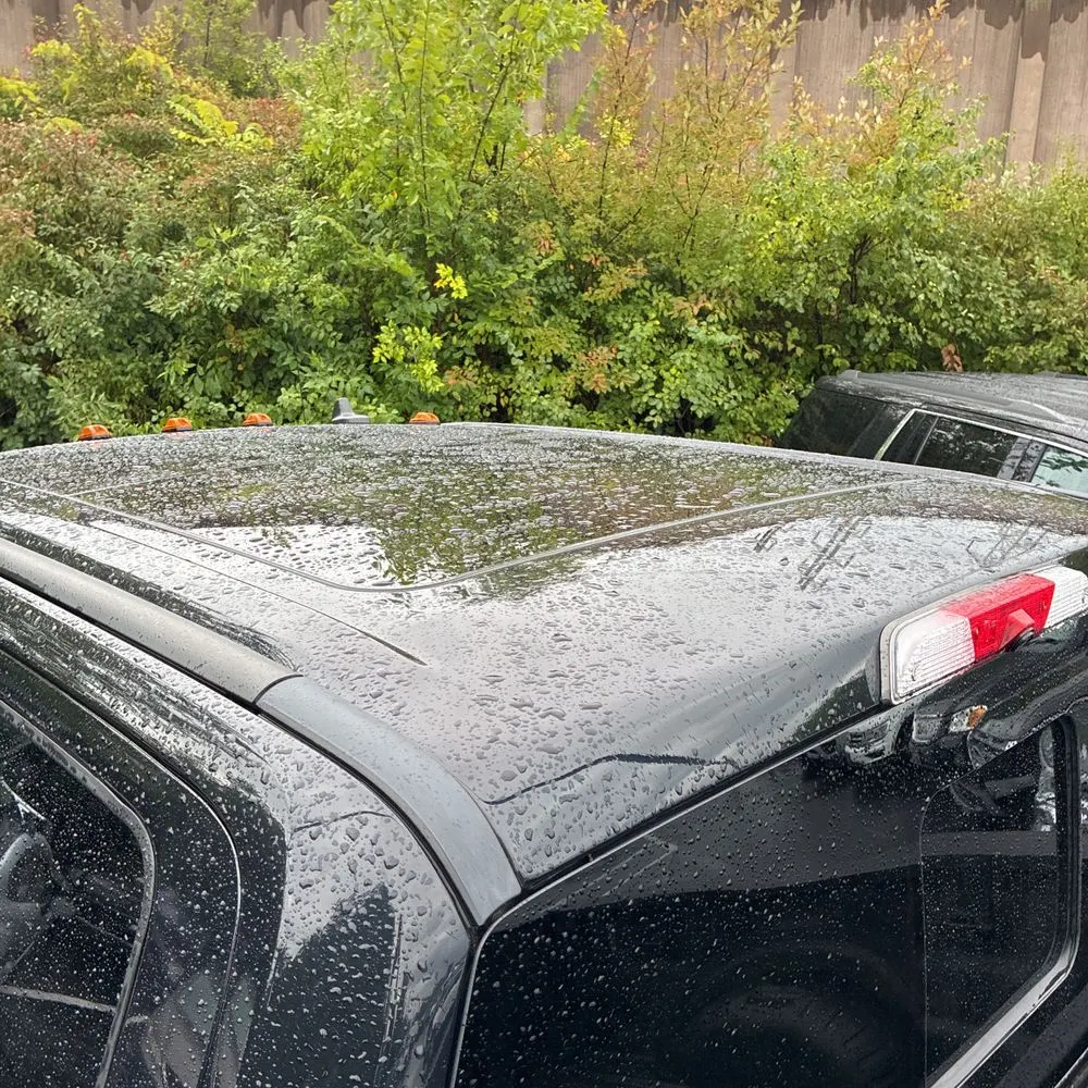 2019 Ford F250 S/D Platinum