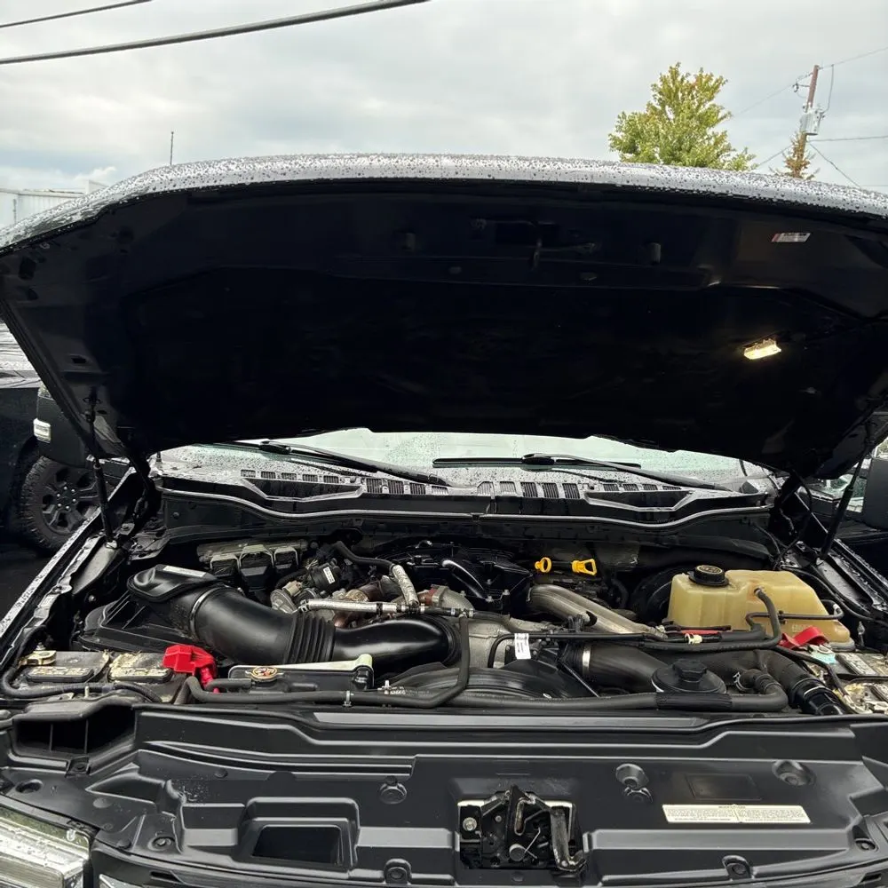 2019 Ford F250 S/D Platinum