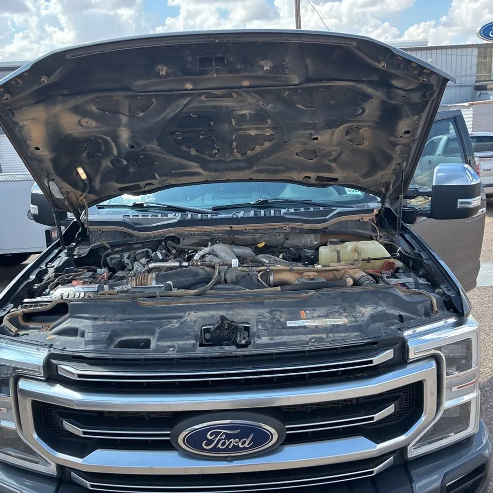 2021 Ford F-250 Super Duty Platinum
