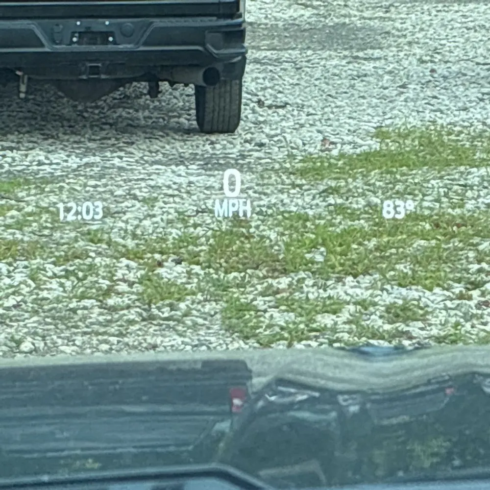 2024 Ford F450 S/D Platinum