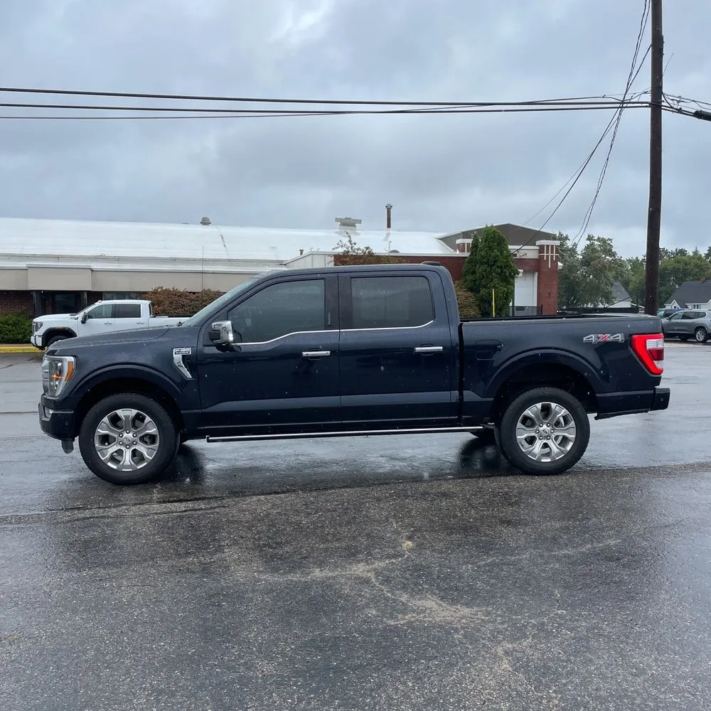 2021 Ford F150 Platinum