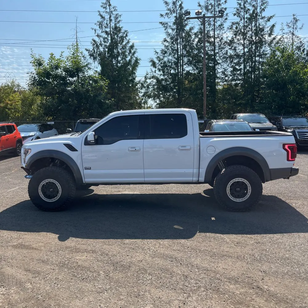 2019 Ford F-150 Raptor