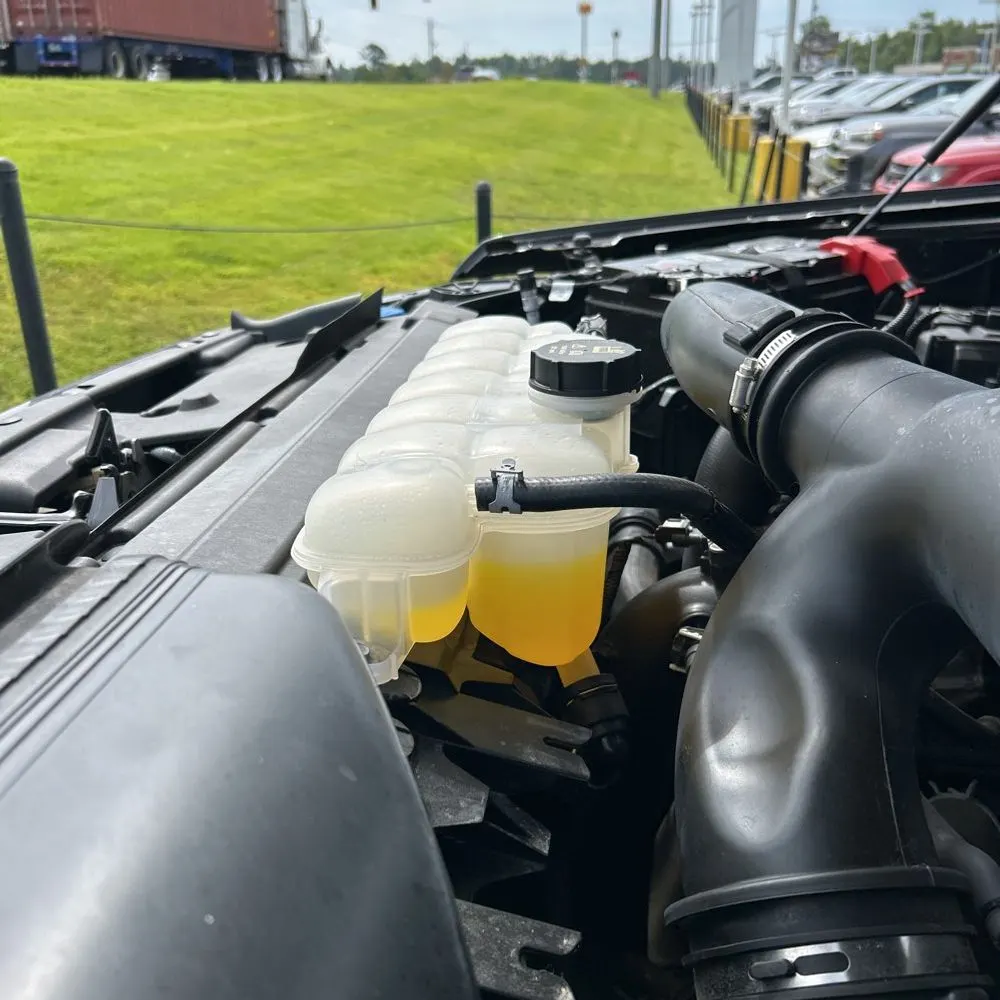 2024 Ford F150 XLT