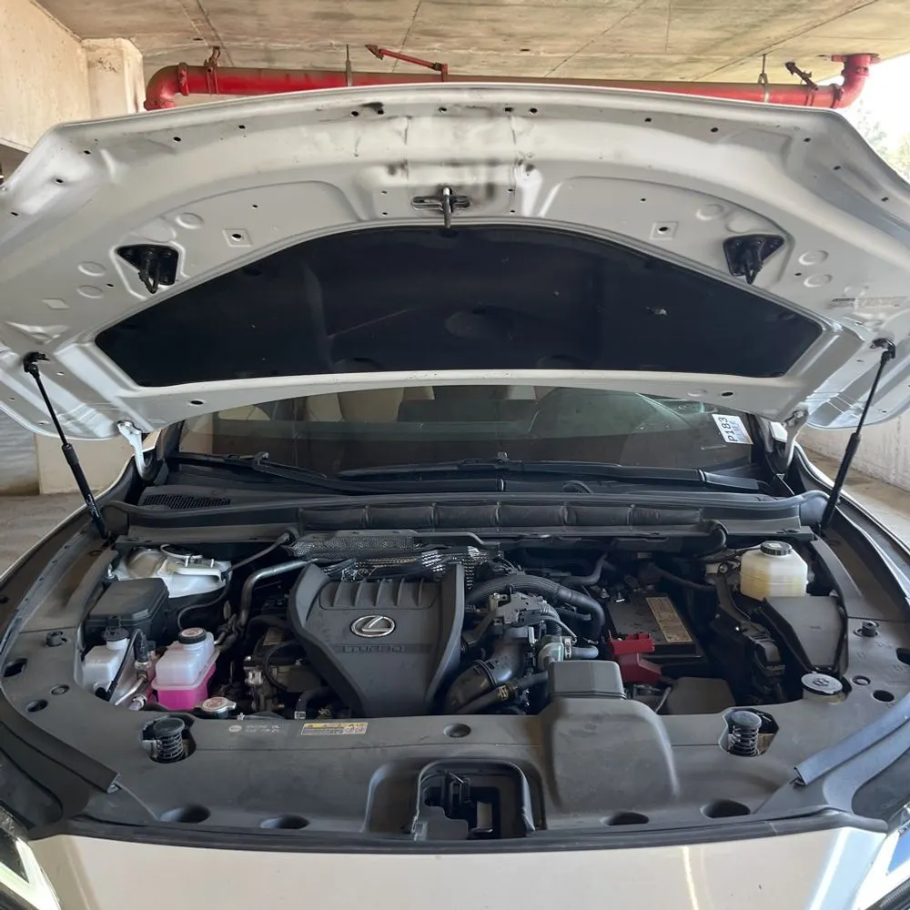 2023 Lexus RX 350 Premium+
