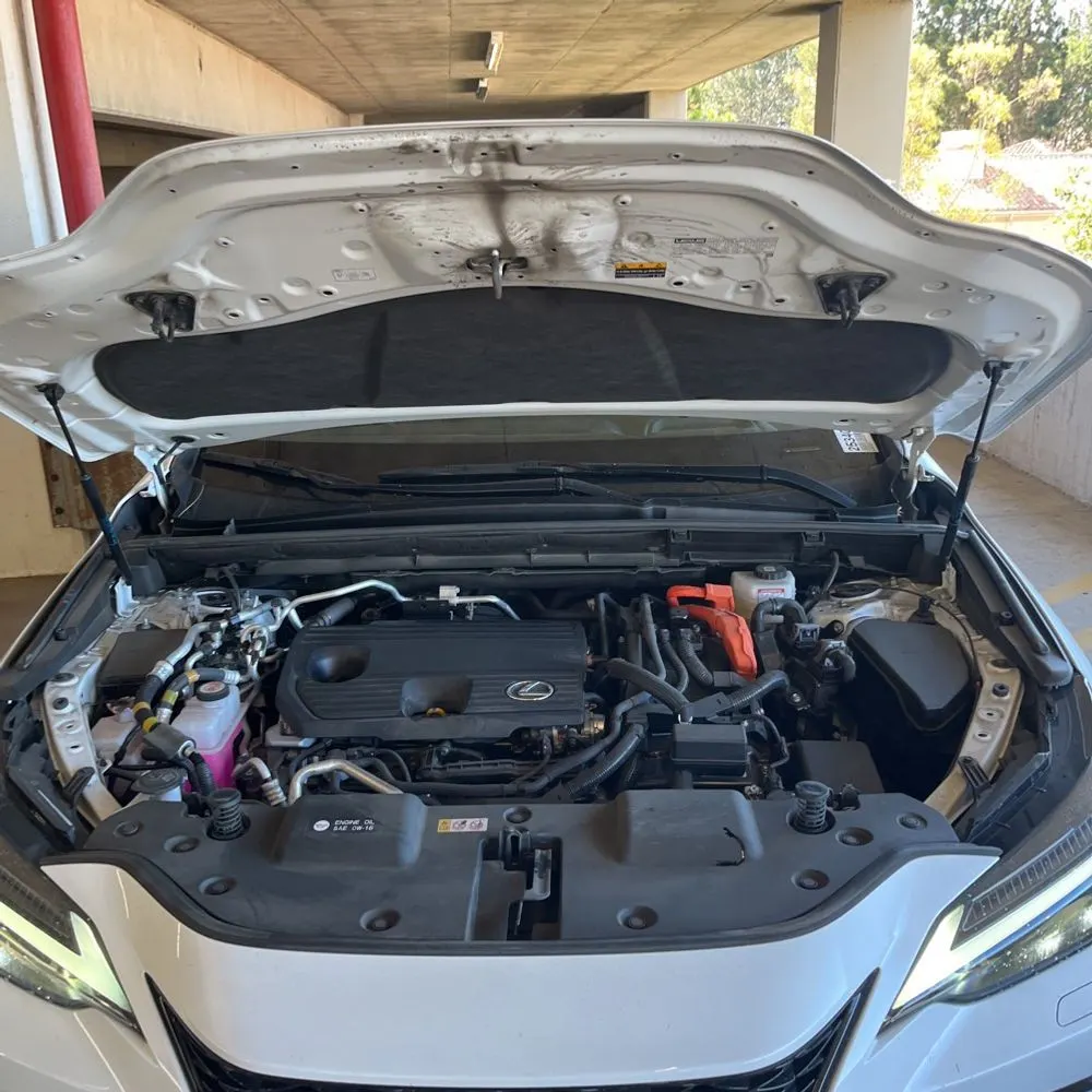 2024 Lexus NX 450h+ F SPORT Handling